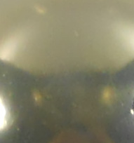 pistazie