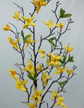 Forsythienzweig